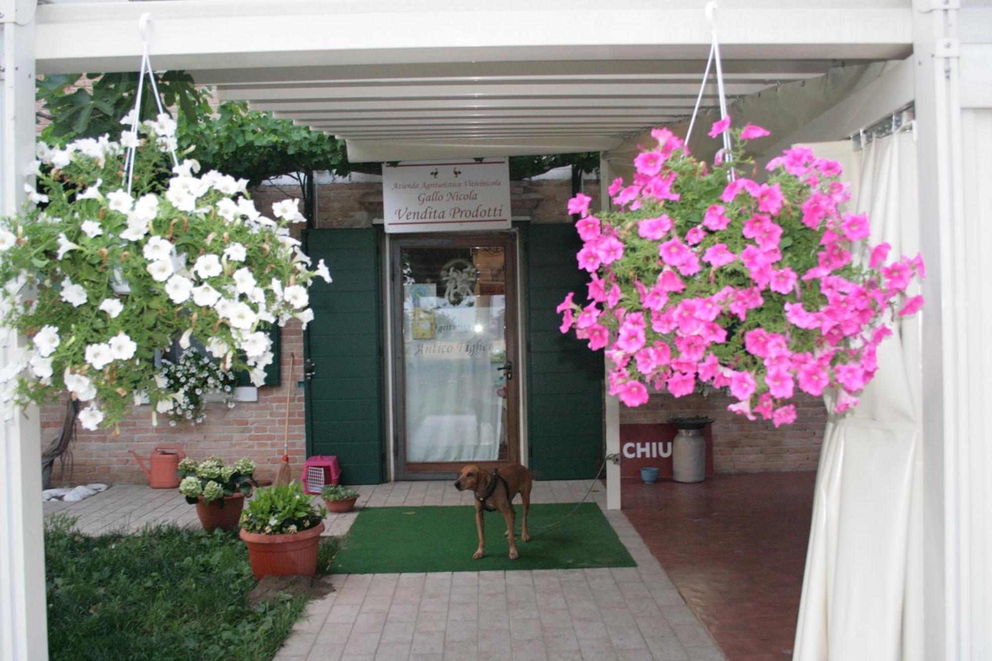 Locanda Antico Figher Villa Musile di Piave Eksteriør bilde